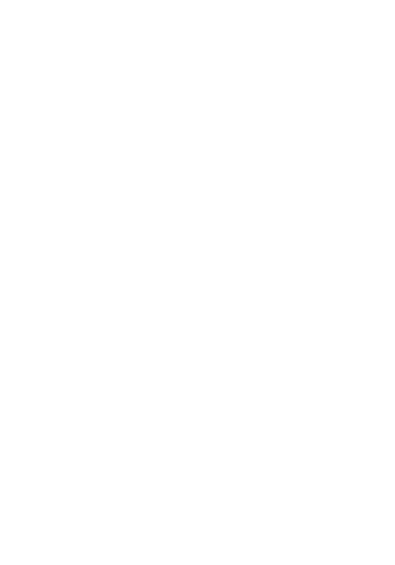 THE COMMONS